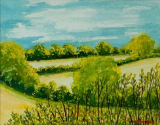 Augustlandschaft, Suffolk